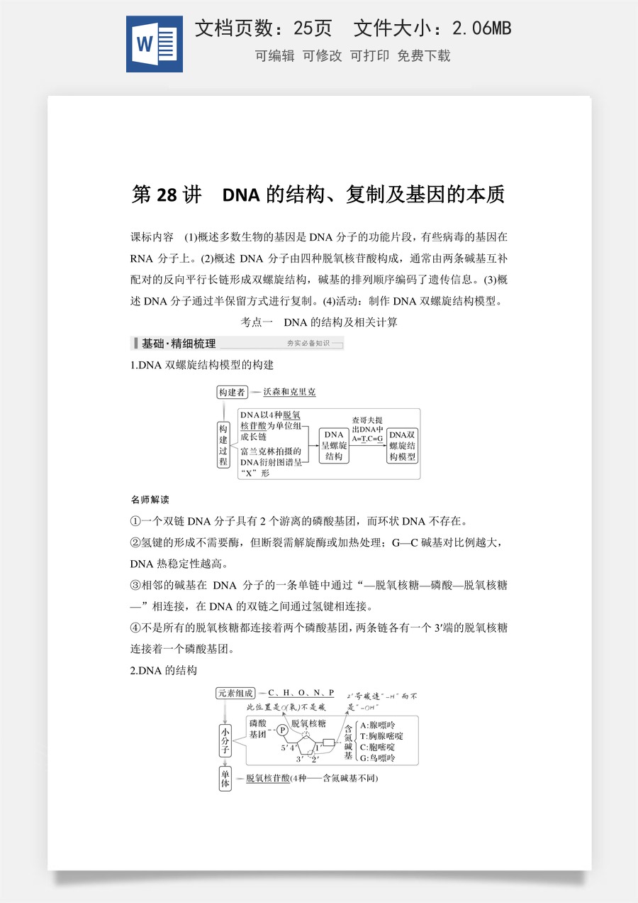 高中-高考总复习-生物-第28讲　DNA的结构、复制及基因的本质.doc